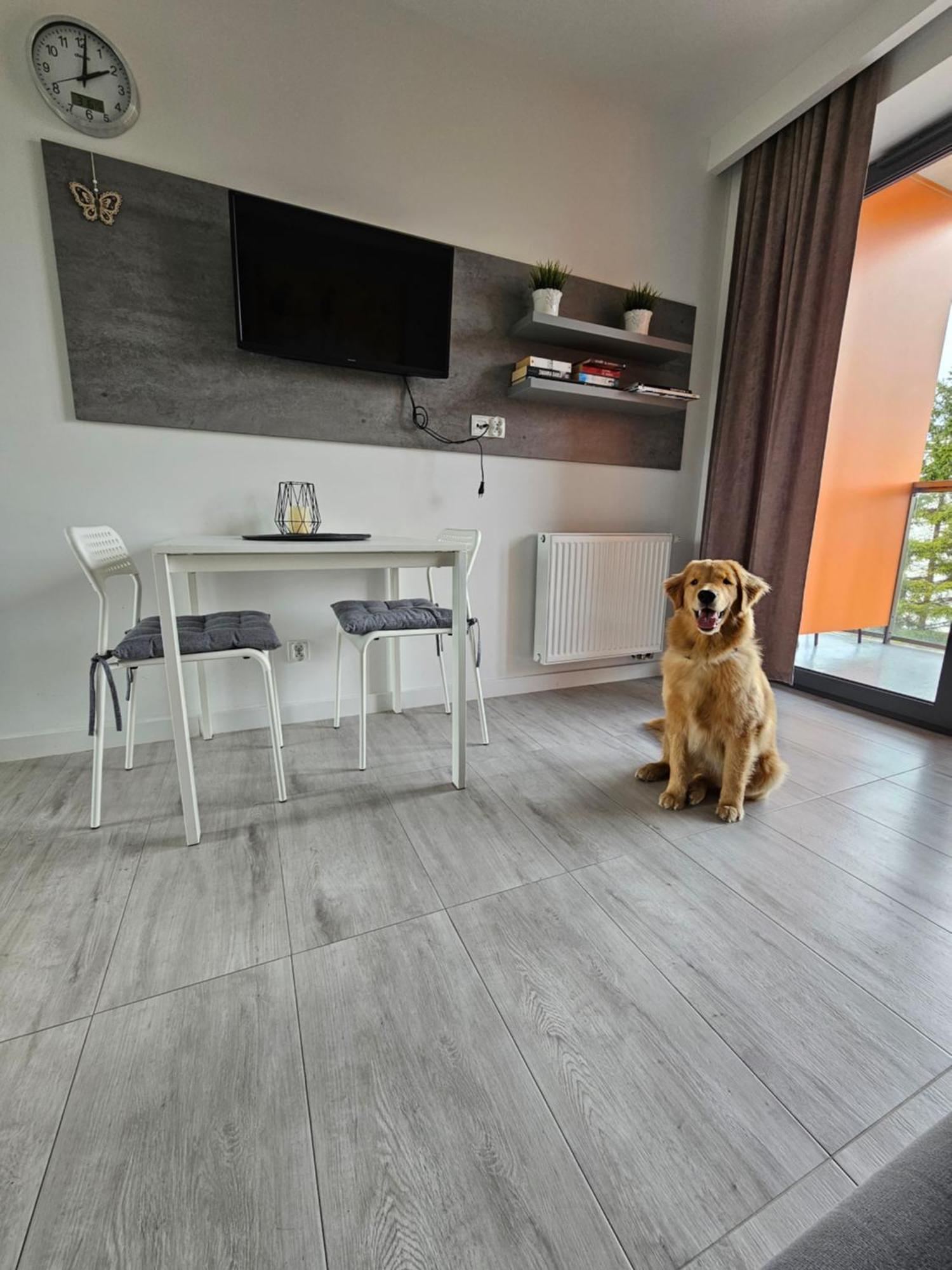 Apartment B106 - Jastrzebia Gora